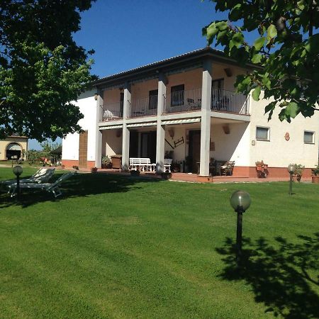Il Grano Di Bramante Villa Marrucheto Bagian luar foto