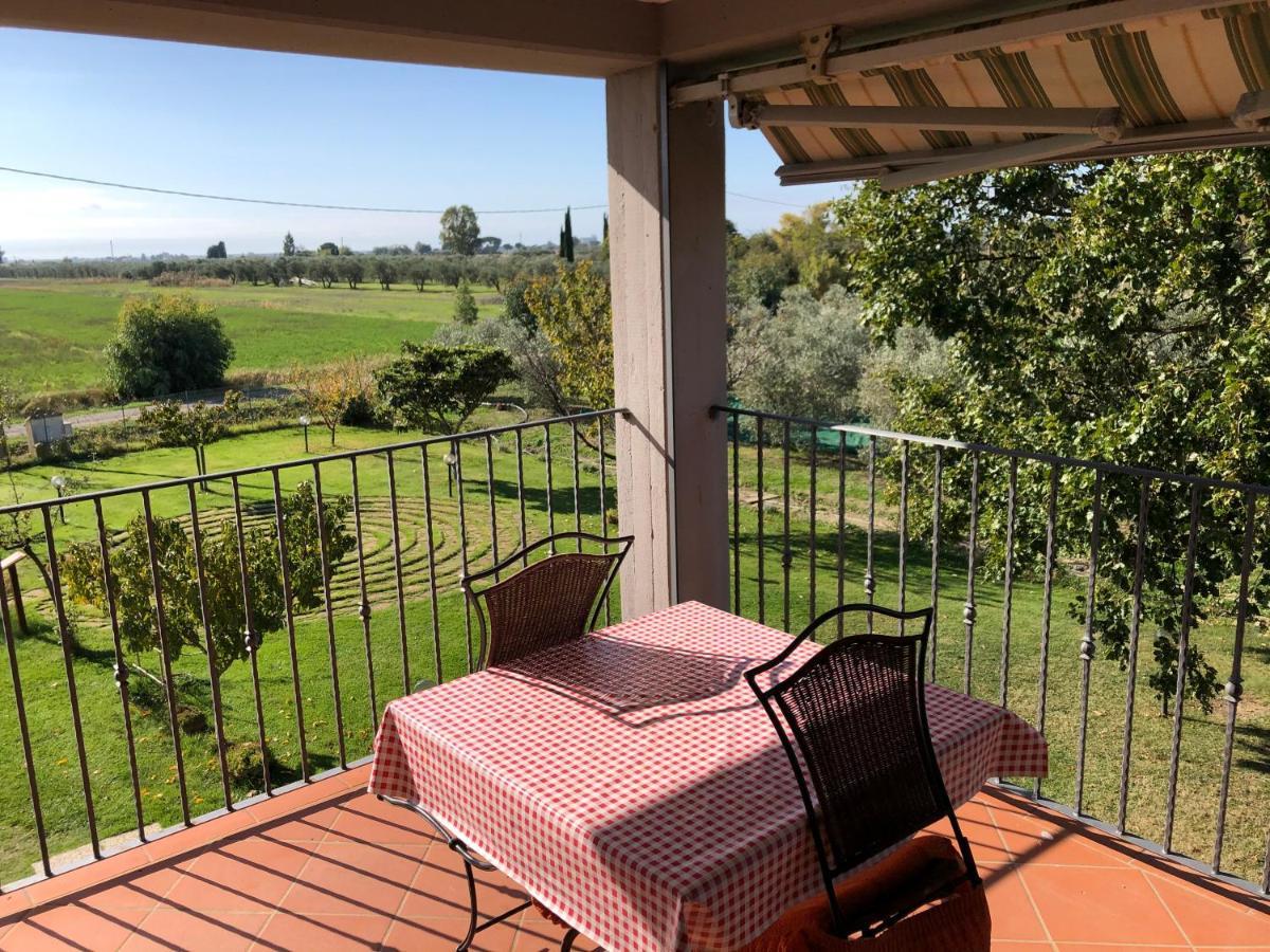 Il Grano Di Bramante Villa Marrucheto Bagian luar foto