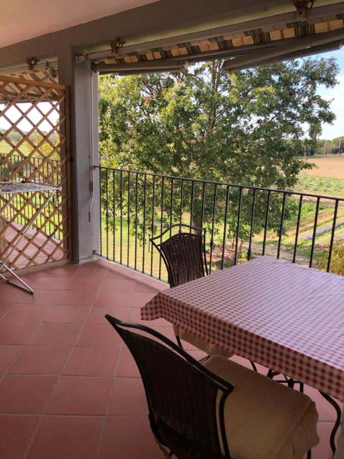 Il Grano Di Bramante Villa Marrucheto Bagian luar foto