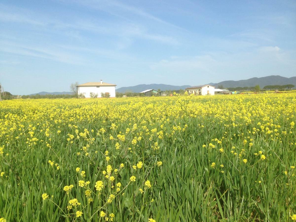 Il Grano Di Bramante Villa Marrucheto Bagian luar foto